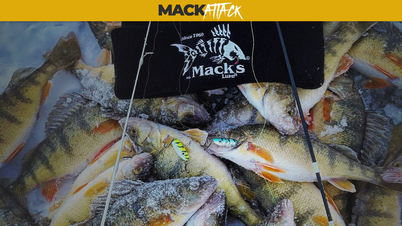 Podcast: Ice Fishing for Perch Tips & Techniques — Mack's Lure Tackle