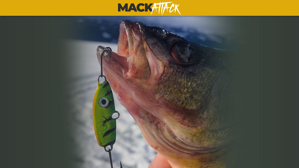 Sonic BaitFish Tips: Are you fishing with dull hooks? — Mack's