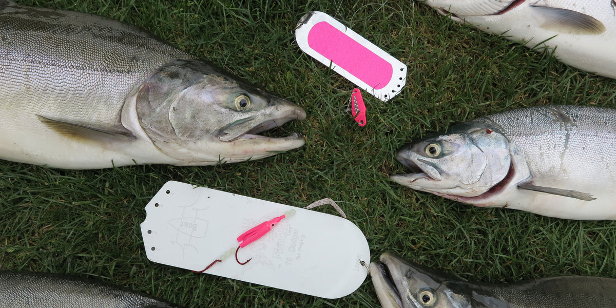 Brooks: How To Target Puget Sound Pink Salmon — Mack's Lure Tackle