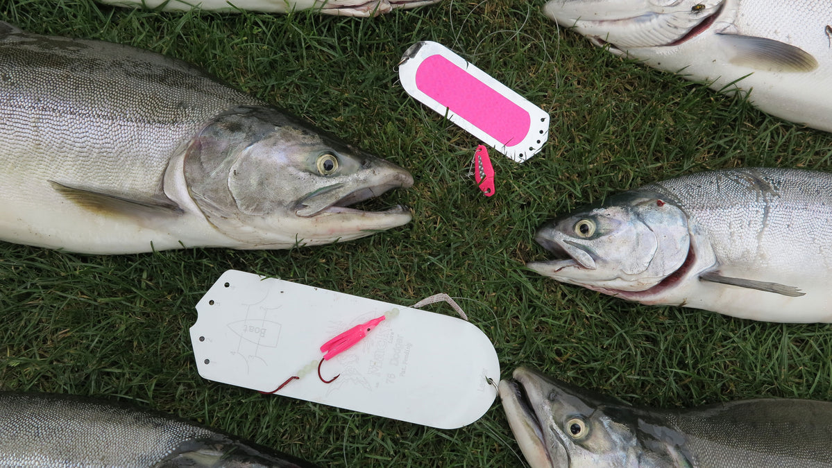 Brooks: How To Target Puget Sound Pink Salmon — Mack's Lure Tackle