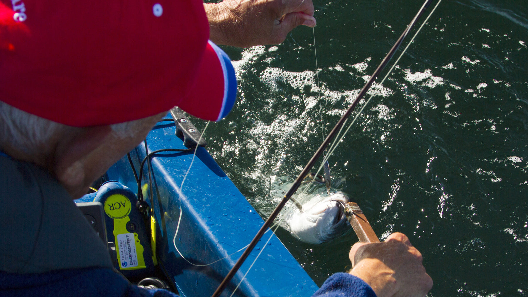 SBF Tips: Summer Salmon Fishing with the Sonic BaitFish