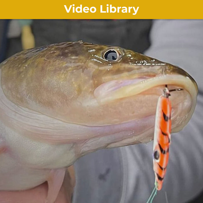 Video Library - Fishing Tips and Secrets — Mack's Lure Tackle