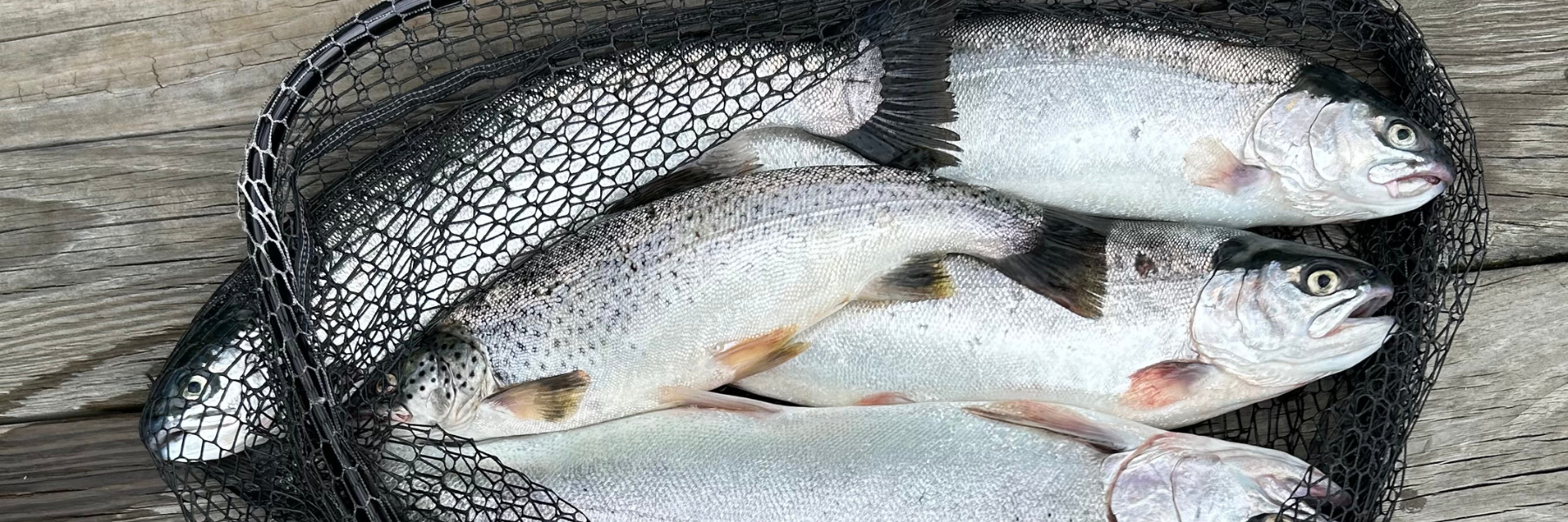 More Than a Fishing Trip