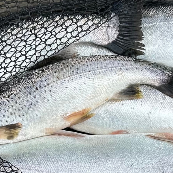 More Than a Fishing Trip