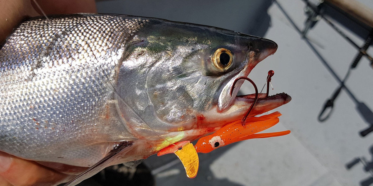 best kokanee fishing lures Salmon Kit of 9 and King Salmon Maximize The Big Bass Kokanee