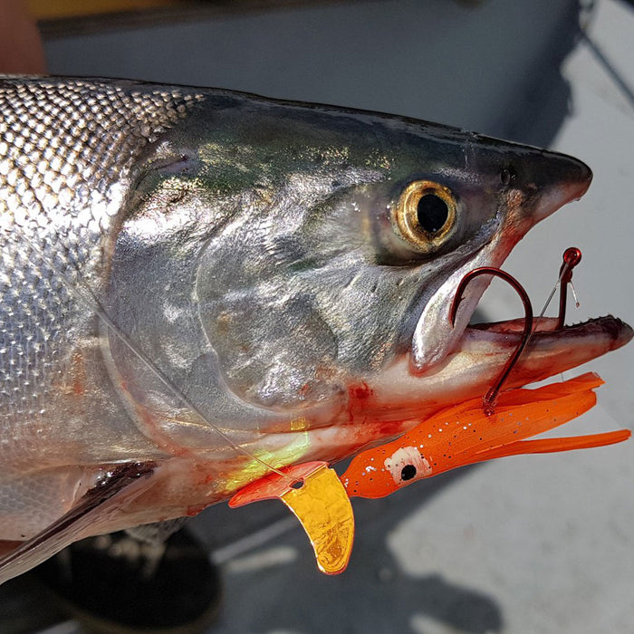 chinook fishing lures Kit Mixed Including Minnow Popper Crank Baits with Hooks for Saltwater Freshwater Trout Bass Salmon Fishing Top 10 Spring Chinook Salmon
