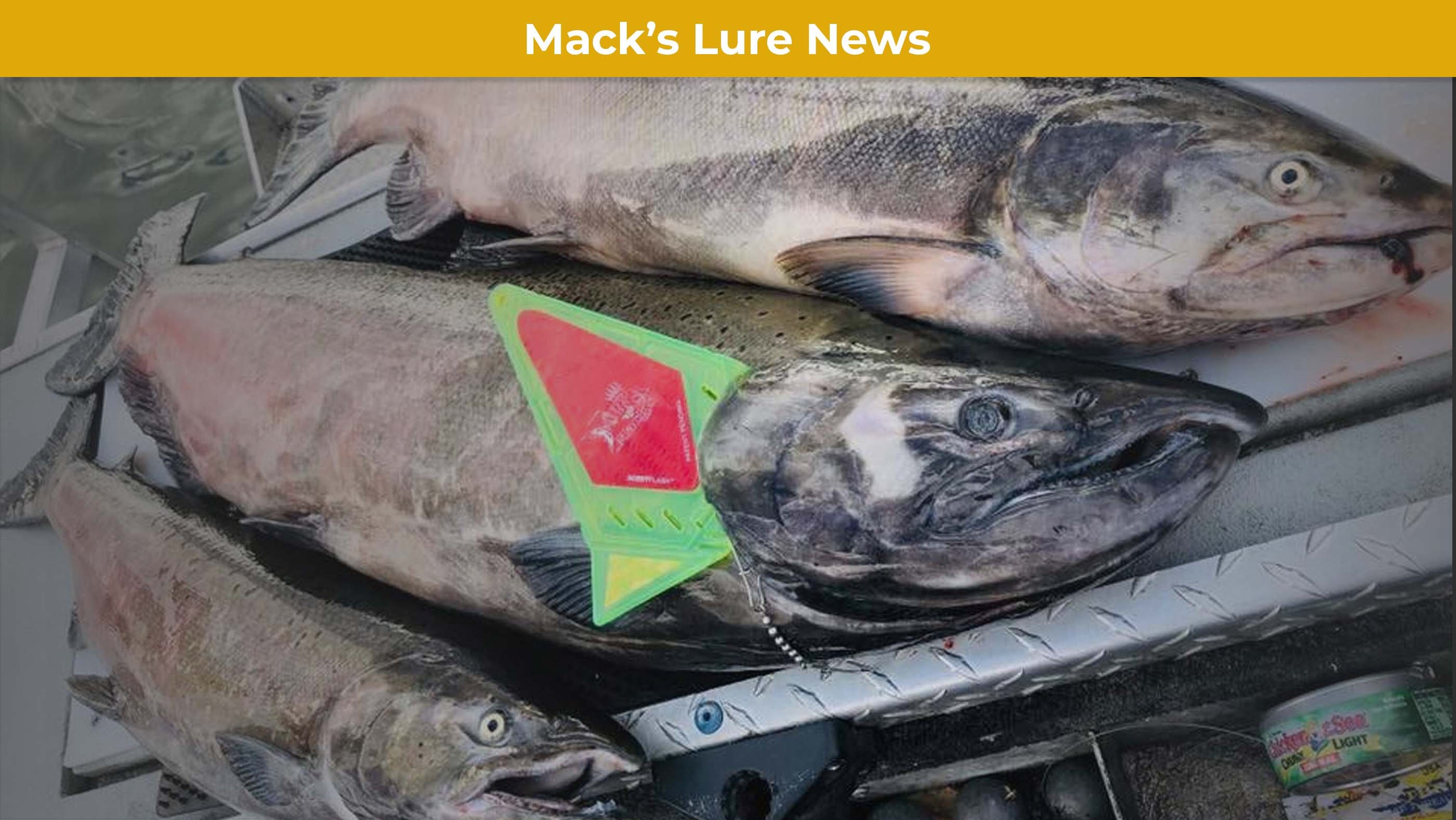 Mack’s Lure, Inc. Introduces “Game Changer” Flasher — Mack’s Lure Tackle