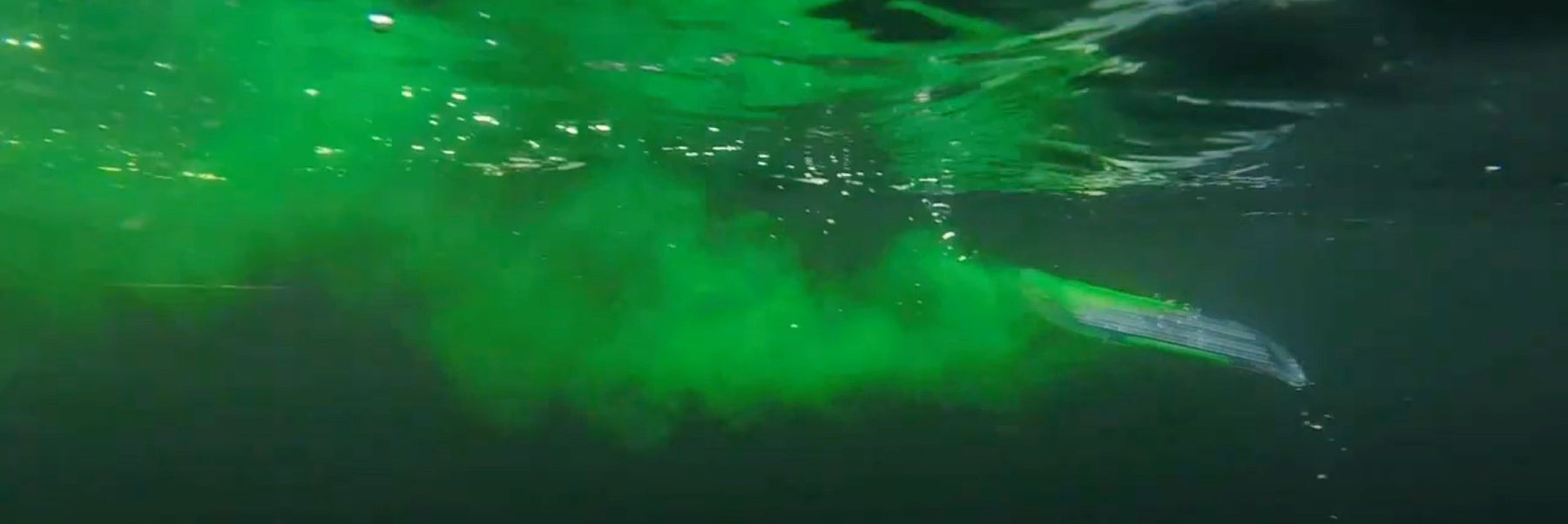 Revolutionizing Fall Chinook Fishing with the ScentFlash UV Paddle Flasher