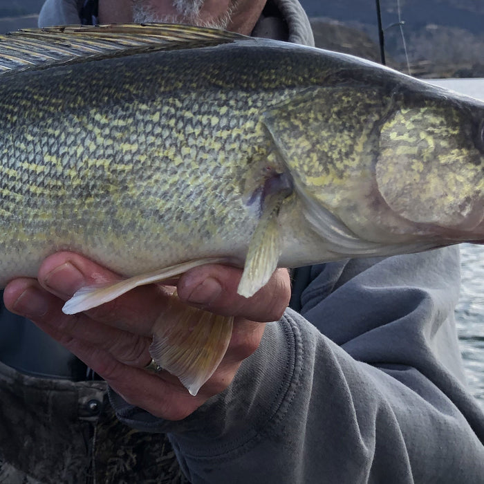 Podcast: Jigging for Walleye with Eric Braaten