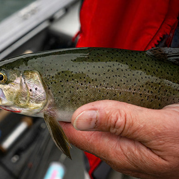 Promise Keeper: The Thrill of the Catch