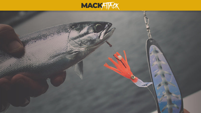 4. 5 in 12 Cm Salmon Fishing Dodgers, Chrome Silver Plated 4. 5 in 12 Cm Salmon Fishing Dodgers, Chrome Silver Plated