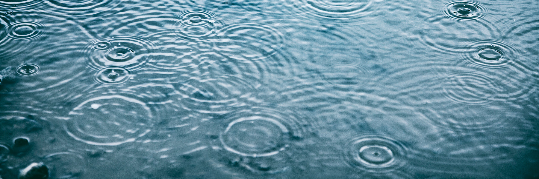 Reading Nature’s Signals