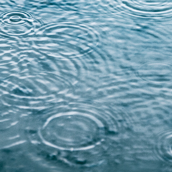 Reading Nature’s Signals