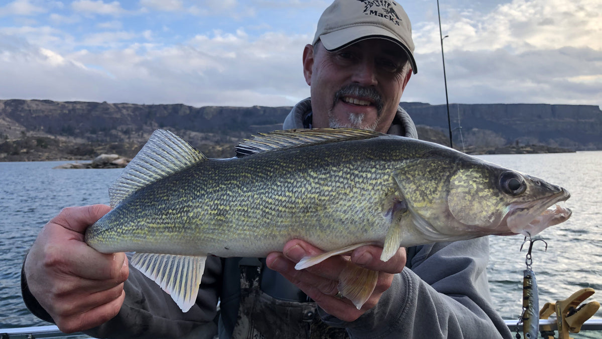 Jigging for Suspended Fish