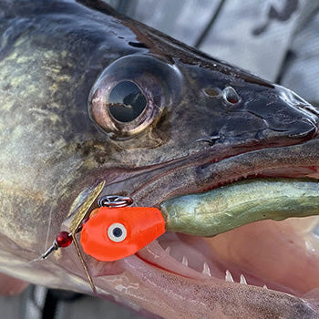 captian mack fishing lures Captain Mack's Super Spoon (Dressed) tail and have been proven effective for a wide variety of species in both fresh and saltwater. Capt Mack's OE Jigs -
