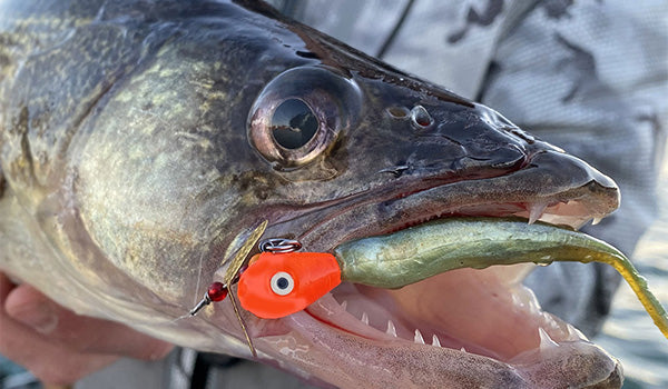 Why Mack’s SD Jig is Revolutionizing Fishing