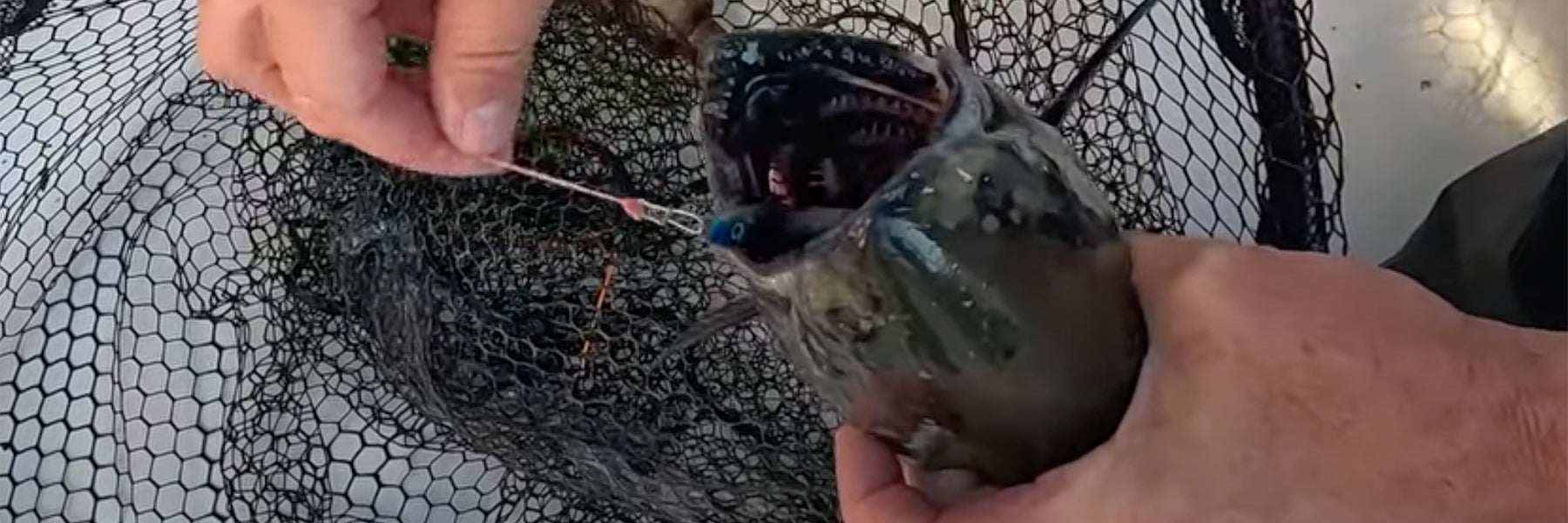 Jigging King Salmon with Sonic Baitfish