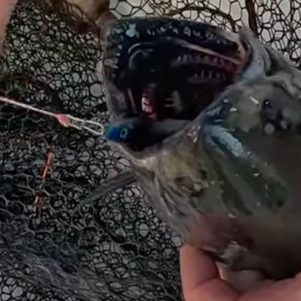 Jigging King Salmon with Sonic Baitfish