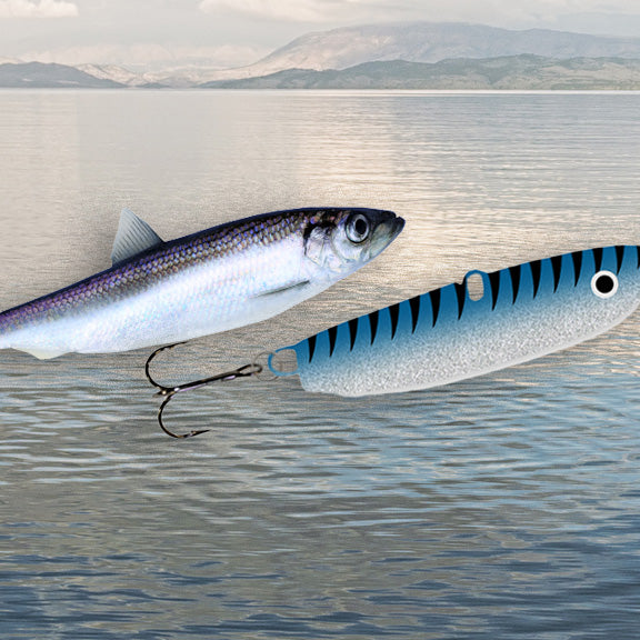 The Story of the Sonic Baitfish Lure - Continued