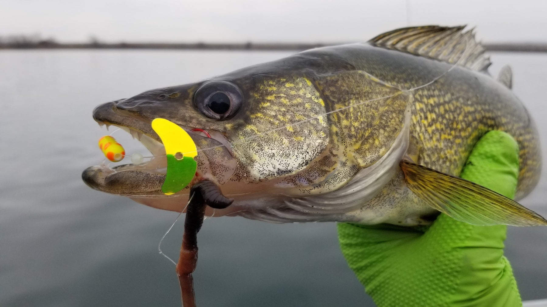 Getting the Most From Your Smile Blades