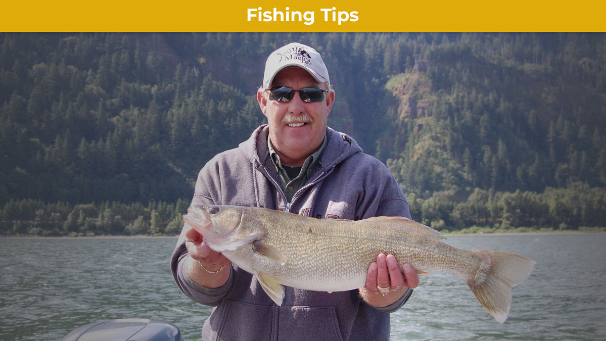 Fishing Walleye on the Lower Columbia River — Mack's Lure Tackle