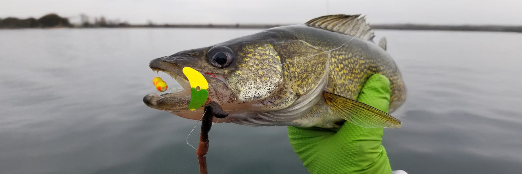 best lures for night fishing walleye Fever Kit, 131 Piece My Top 7 Walleye Ice