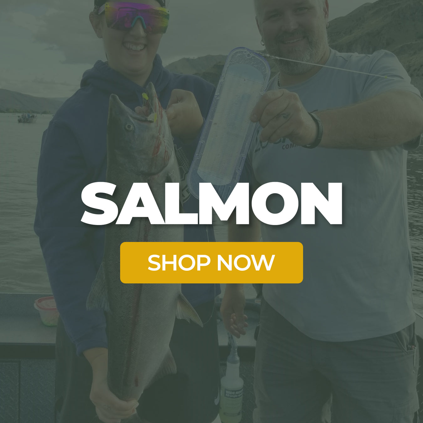 Shop Salmon Lures