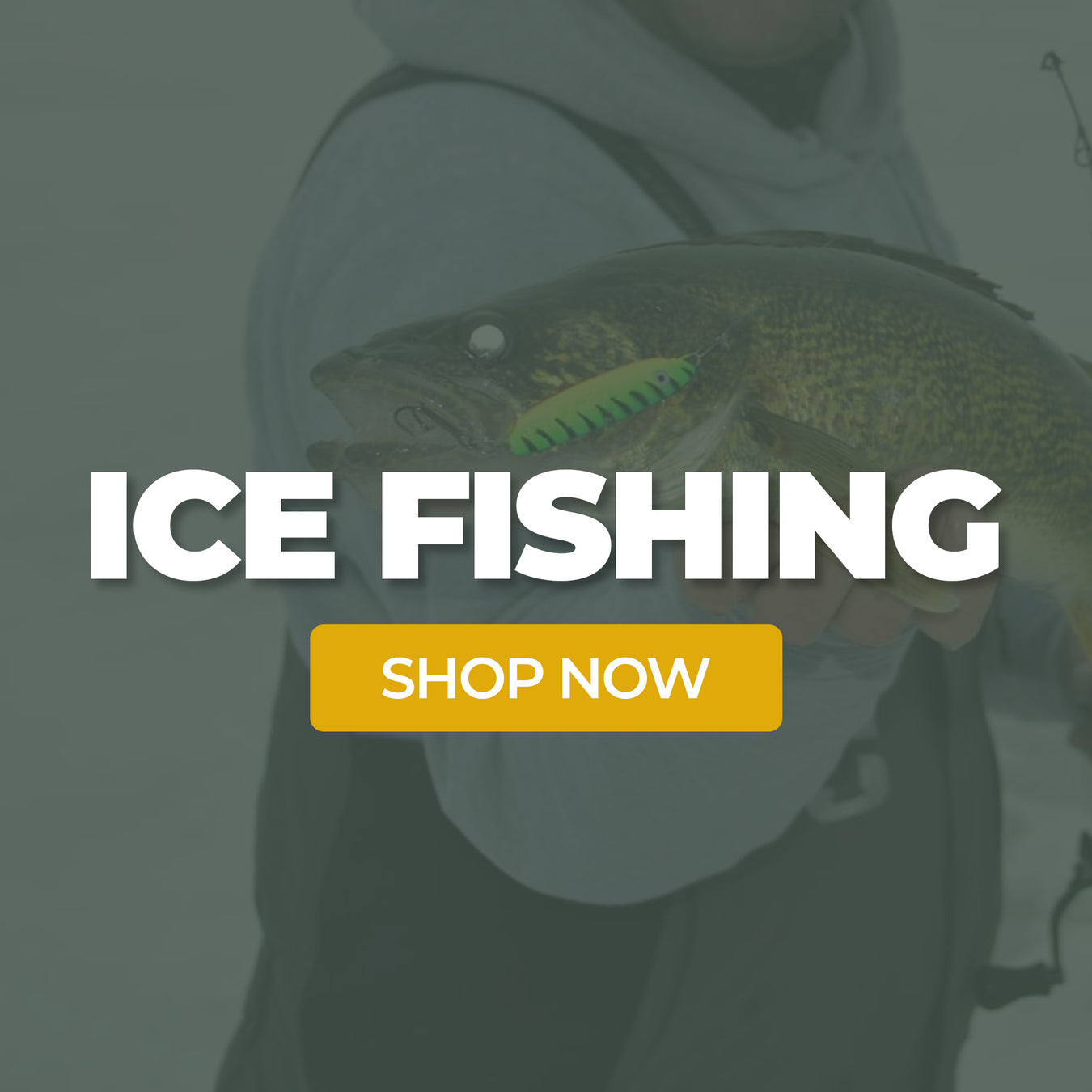 Ice And Water Shield Ice Fishing Tip Up Leader Rigs (90 Lb) - 5 Pack ...